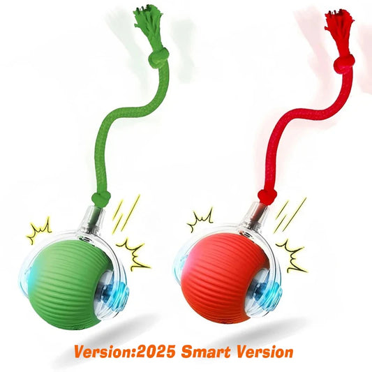 Cat Interactive Ball Toy