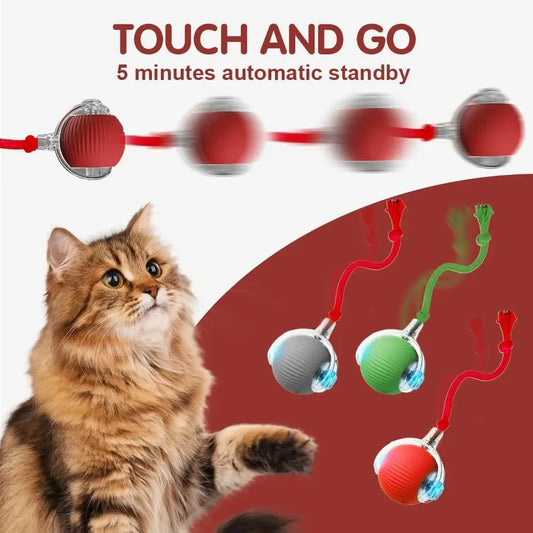 Cat Interactive Ball Toy